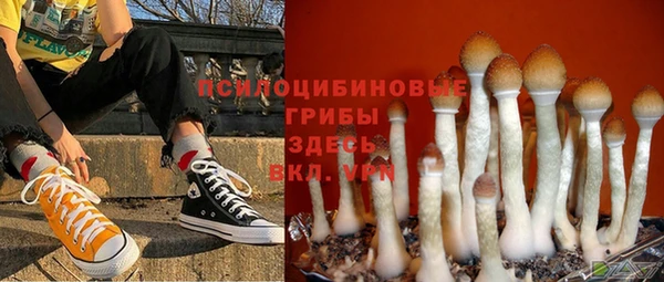 mdpv Алзамай