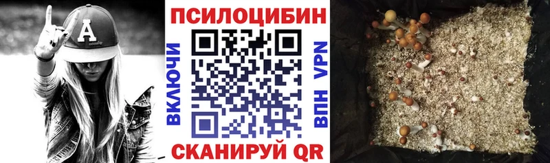 где можно купить наркотик ОМГ ОМГ зеркало это официальный сайт Дрезна Галлюциногенные грибы мухоморы